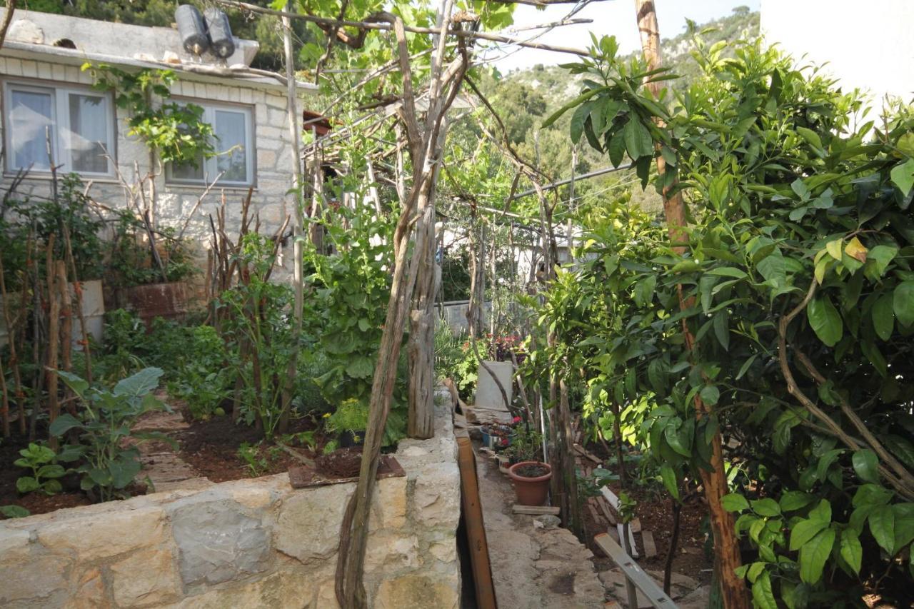 בוגומוליה Seaside Secluded Apartments Cove Smokvina, Hvar - 4036 מראה חיצוני תמונה