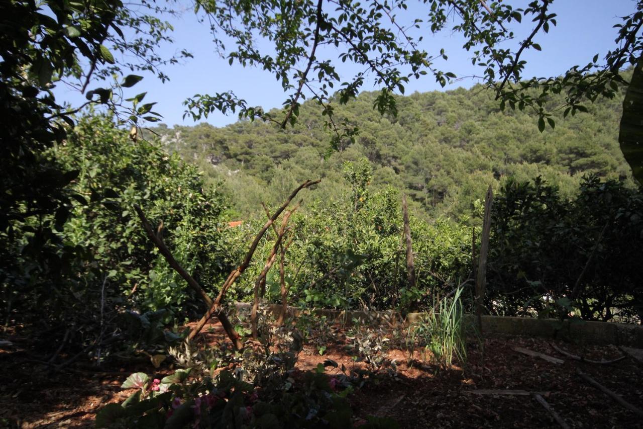 בוגומוליה Seaside Secluded Apartments Cove Smokvina, Hvar - 4036 מראה חיצוני תמונה